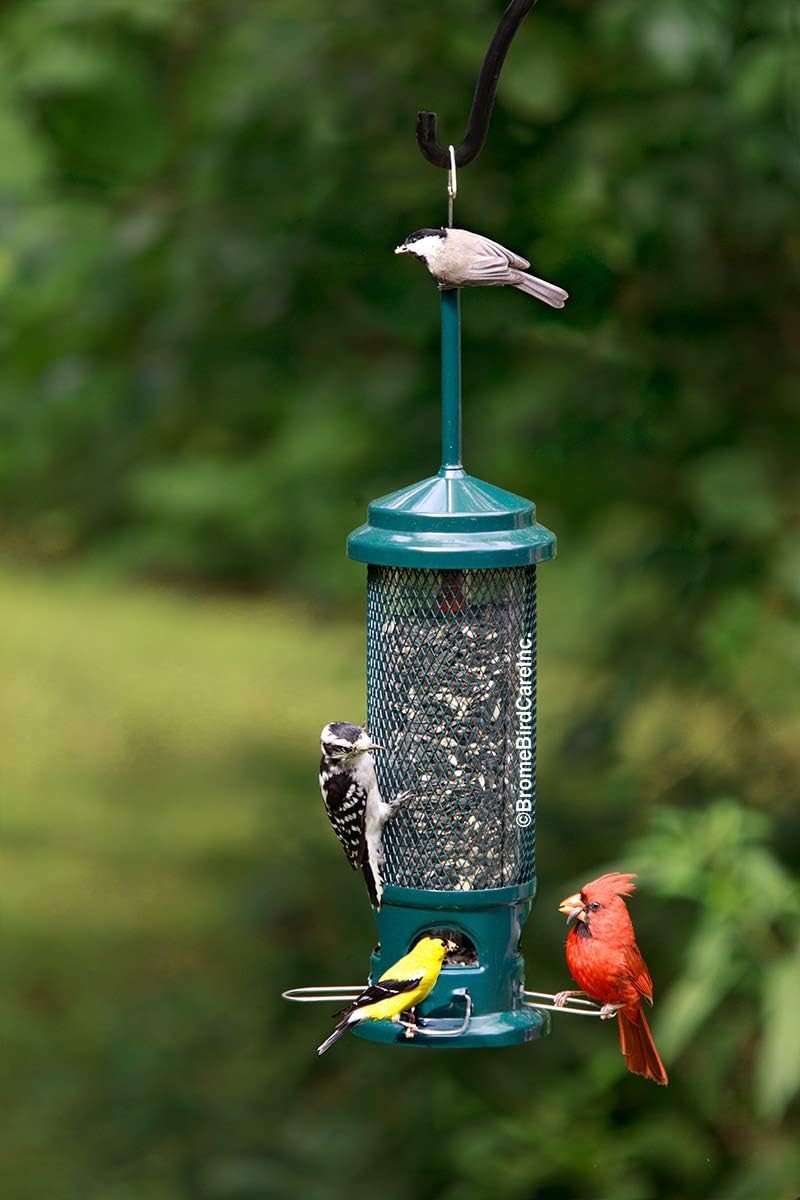 Squirrel Buster Legacy Squirrel-Proof Bird Feeder for Wild Birds – 4 Metal Removable Perches, 2.6 lb Seed Capacity
