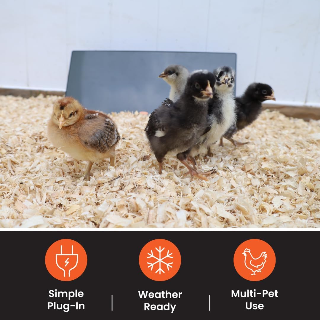 Cozy Coop Chicken Coop Heater, Flat-Panel, 150 Watts