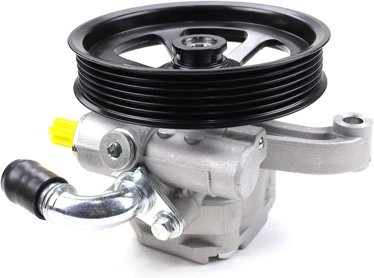 Power Steering Pump with Pulley Replaces 20954812 20-2403 96-2403