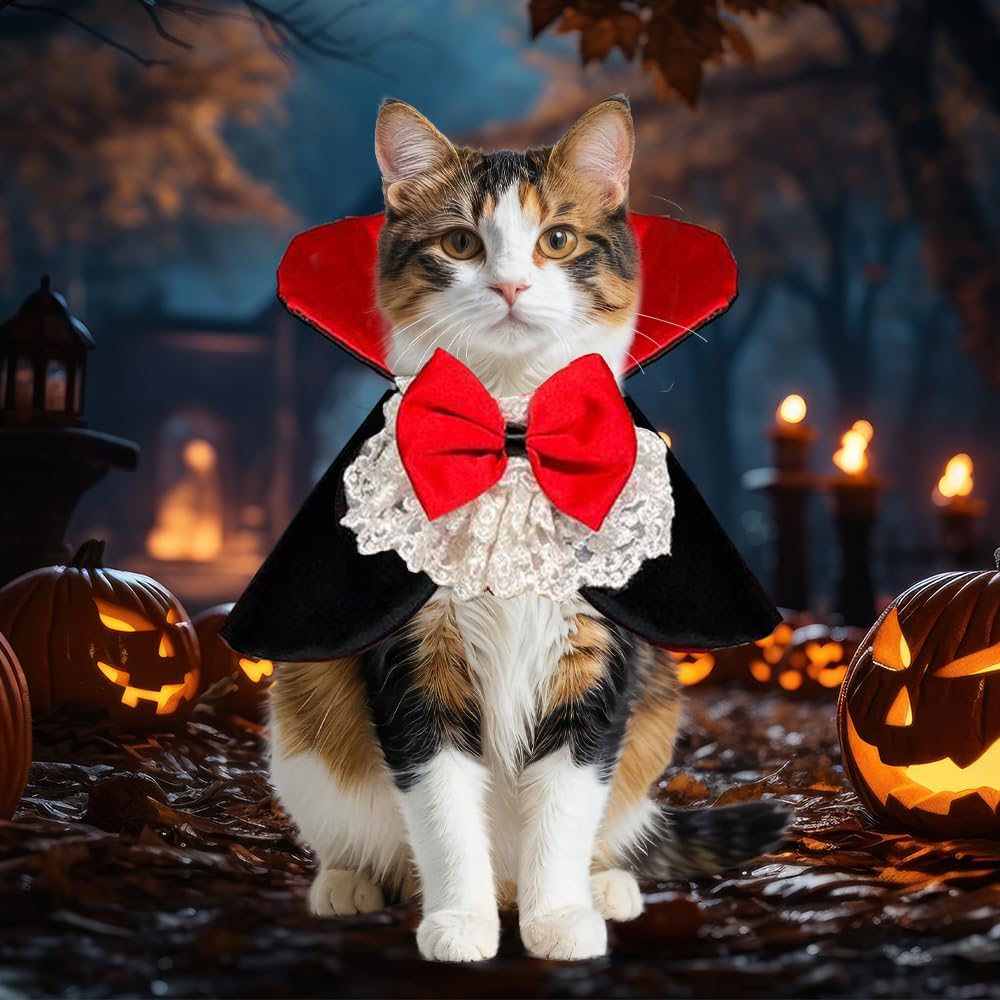 Halloween Vampire Costume for Dogs Cats, Spooky Pet Costume Cosplay Cloak Red Black Spooky Trick or Treat Cat Cape