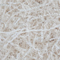 Crinkle Cut Paper Shred Filler Gift Cushion Streamer White