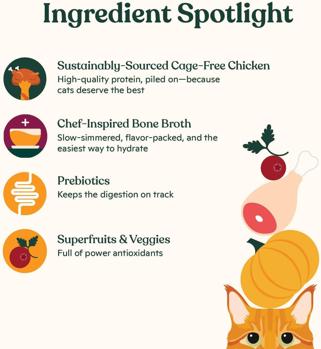 Dry Cat Kibble 2lb Bag, High Protein and Grain-Friendly Premium Cat Food, Cage-Free Chicken & Pumpkin Recipe, Infused