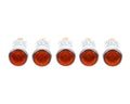 Prince Castle 71-135-1S, Packege of 5 Amber Pilot Light 120 Volts
