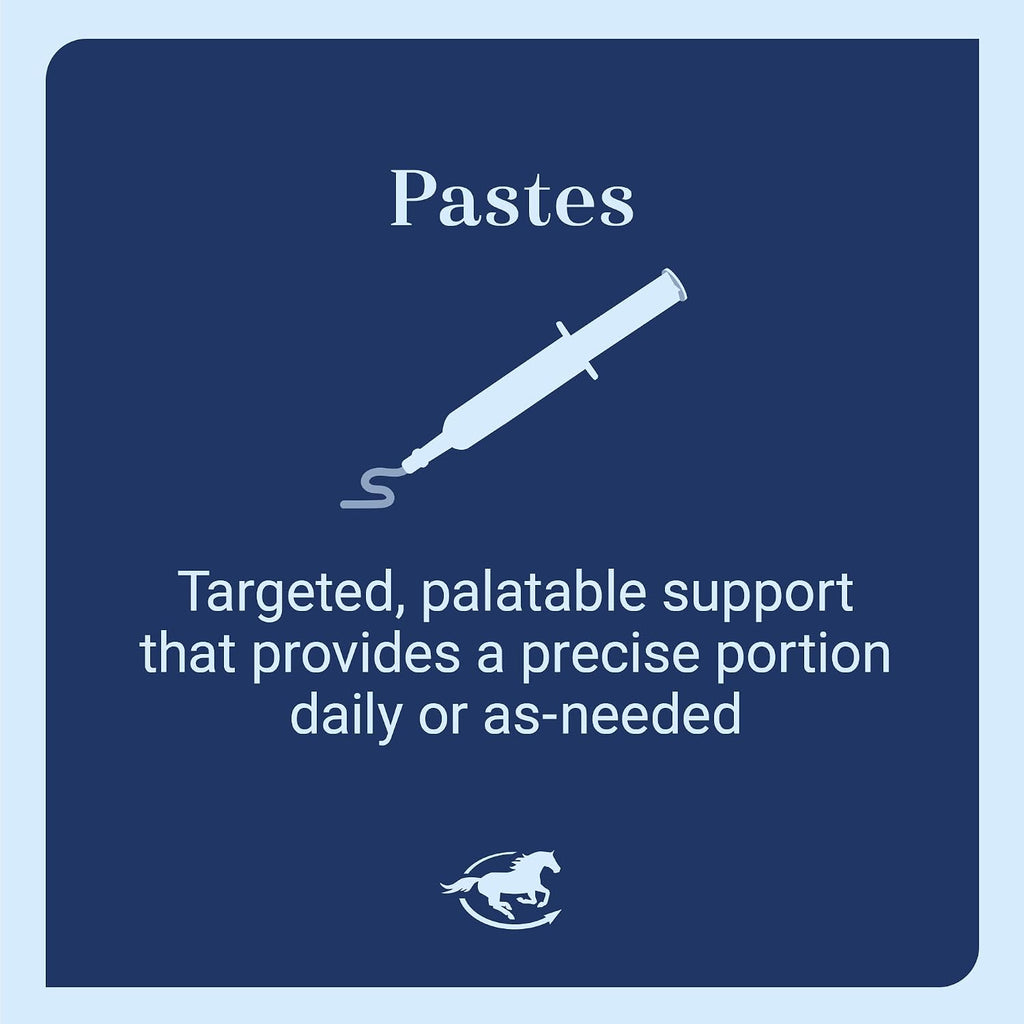 SmartLytes Paste Horse Electrolyte Paste, Pack of 6 Tubes