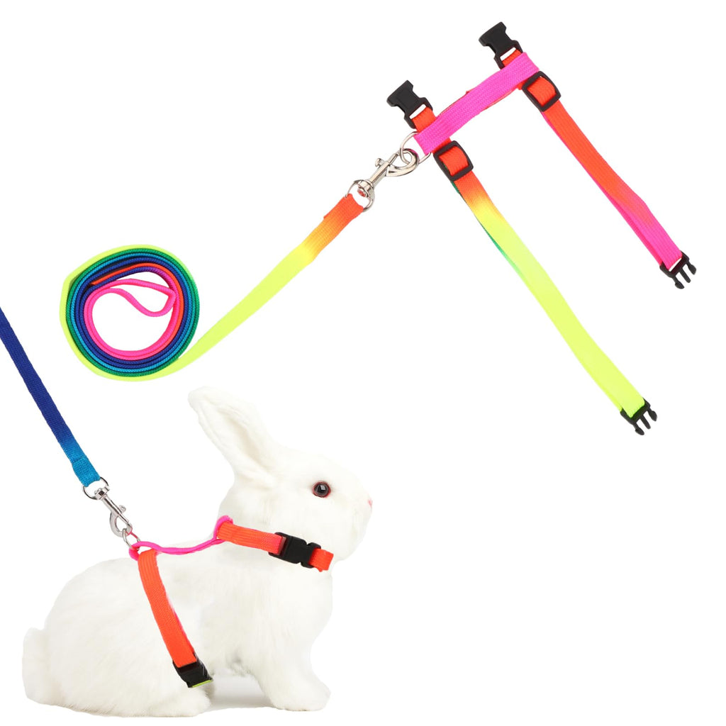 Rabbit Harness with Leash Adjustable Vest for Small Animal, Rainbow