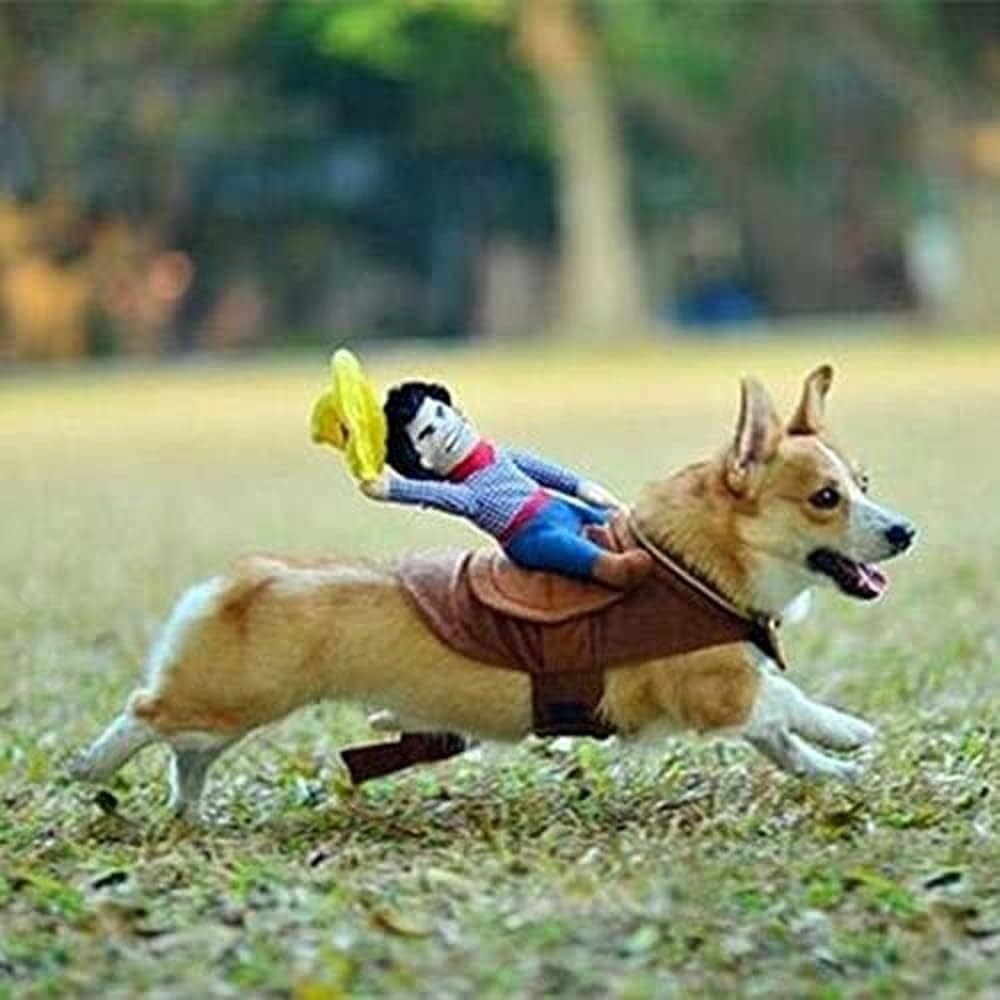 Halloween Cowboy Dog Costume Cosplay Apparel Riders Clothing | cat apparel