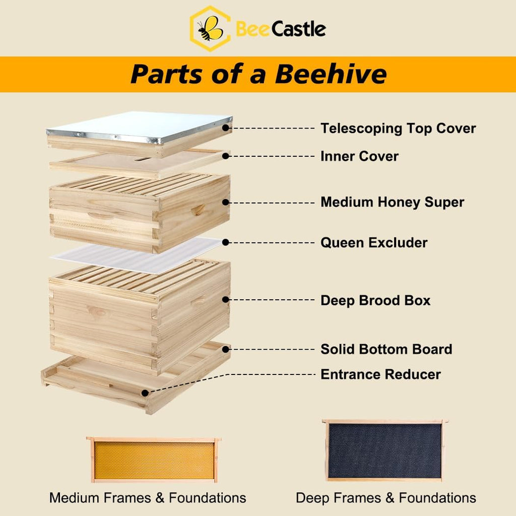 10 Frame Langstroth Bee Hive, Beehive Starter Kit for Beginners with Beehive Frames and Waxed Foundation (1 Deep Box