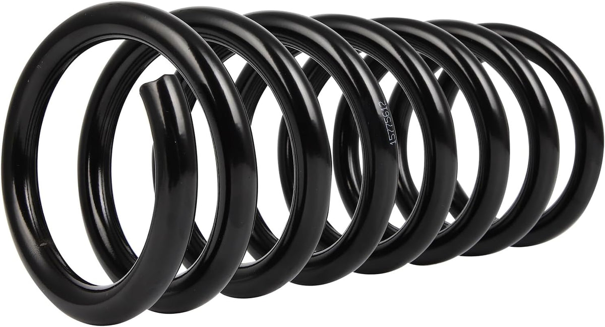 SCITOO 2PCS Rear Suspension Coil Spring Set Fit 05-06 for Chevy for Equinox