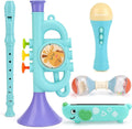Musical Toys for 2 3 Year Old Boy Girl Birthday Gifts, 5 in 1 Montessori Musical Instruments for Toddlers 2-4 with