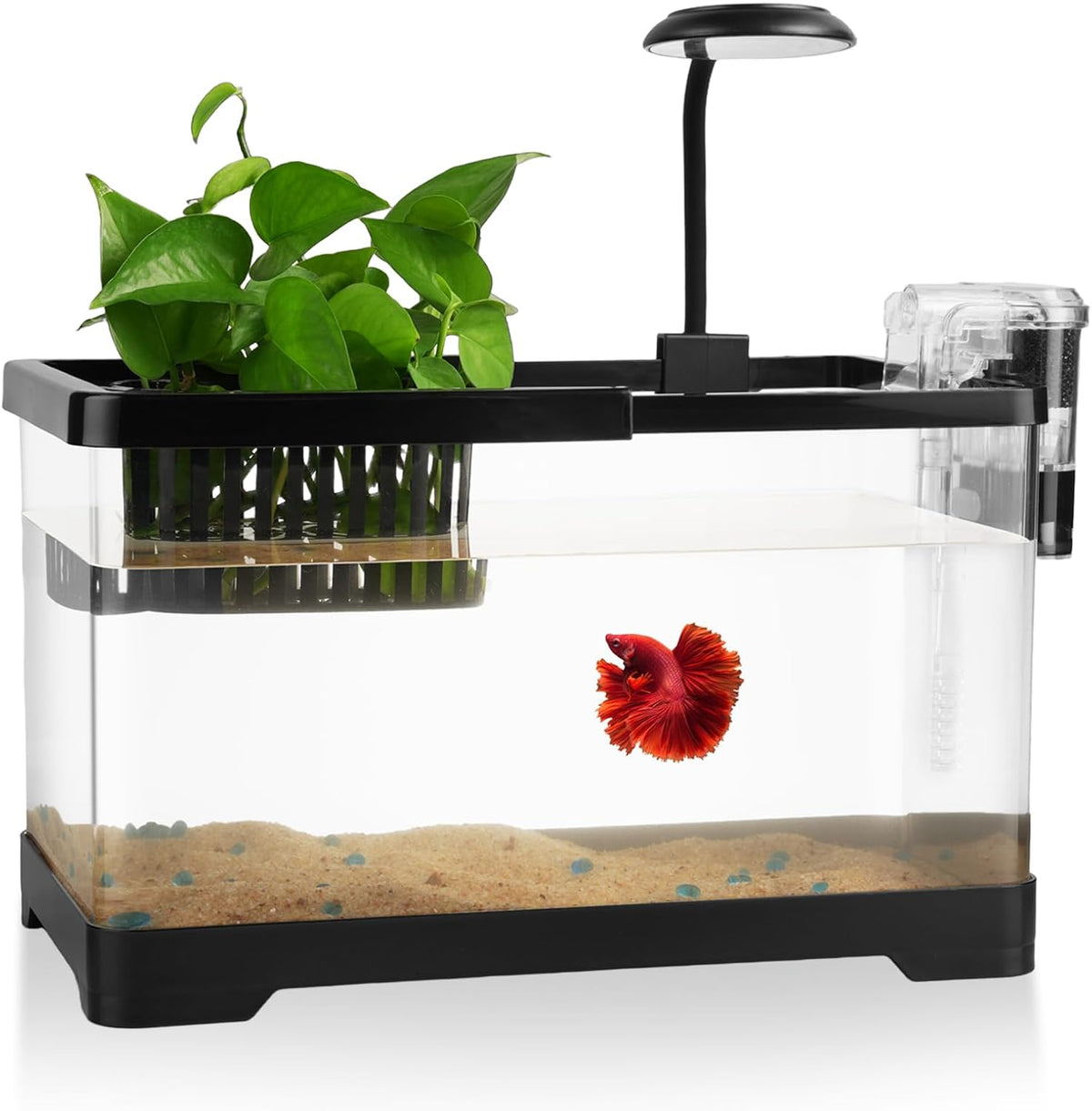 1.8 Gallon Beta Fish Tank Aquariums Kits - Clear Small Fish Bowl Starter Kit with LED Light, Water Filter Pump