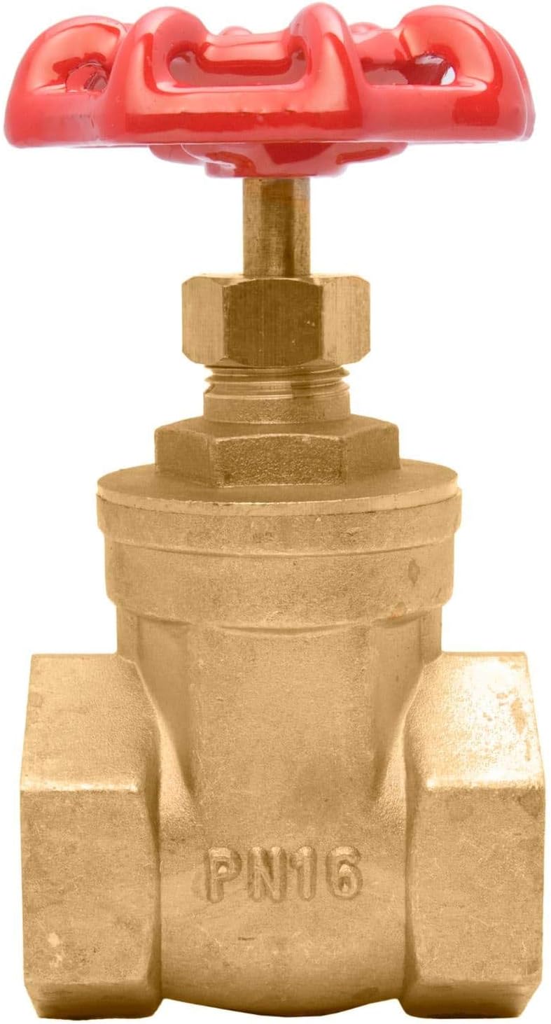 1" Brass Gate Valve - 200WOG, FxF NPT