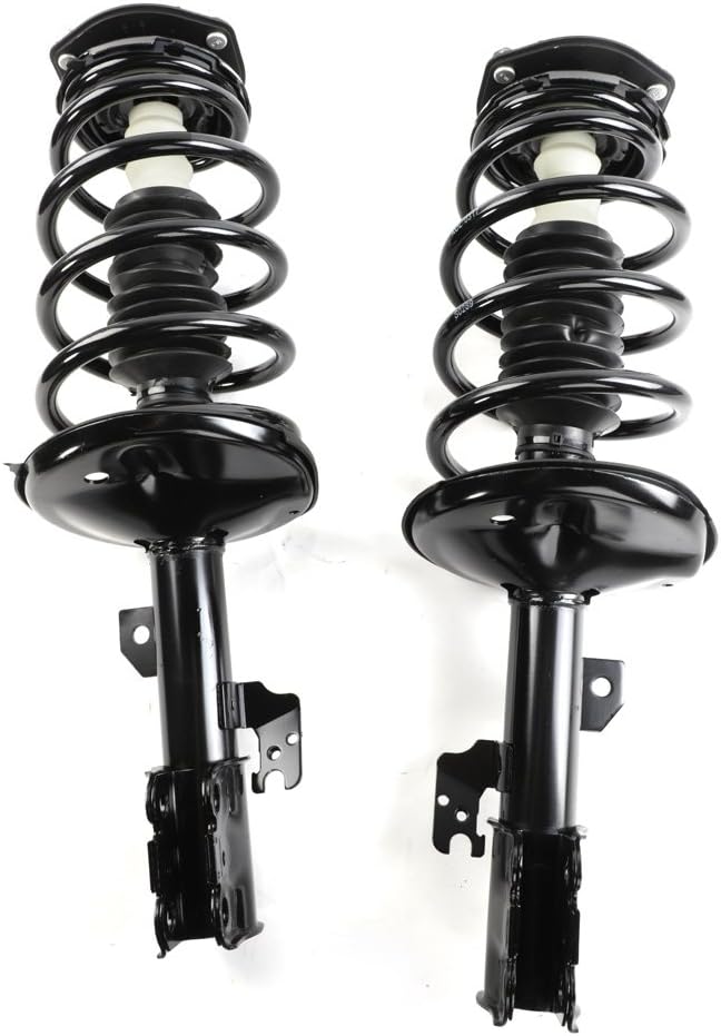 Front Struts Assembly w/Coil Springs 172236 172237, Set of 2