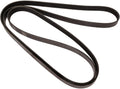 Continental OE Technology Series 4060835 6-Rib, 83.5" Multi-V Belt