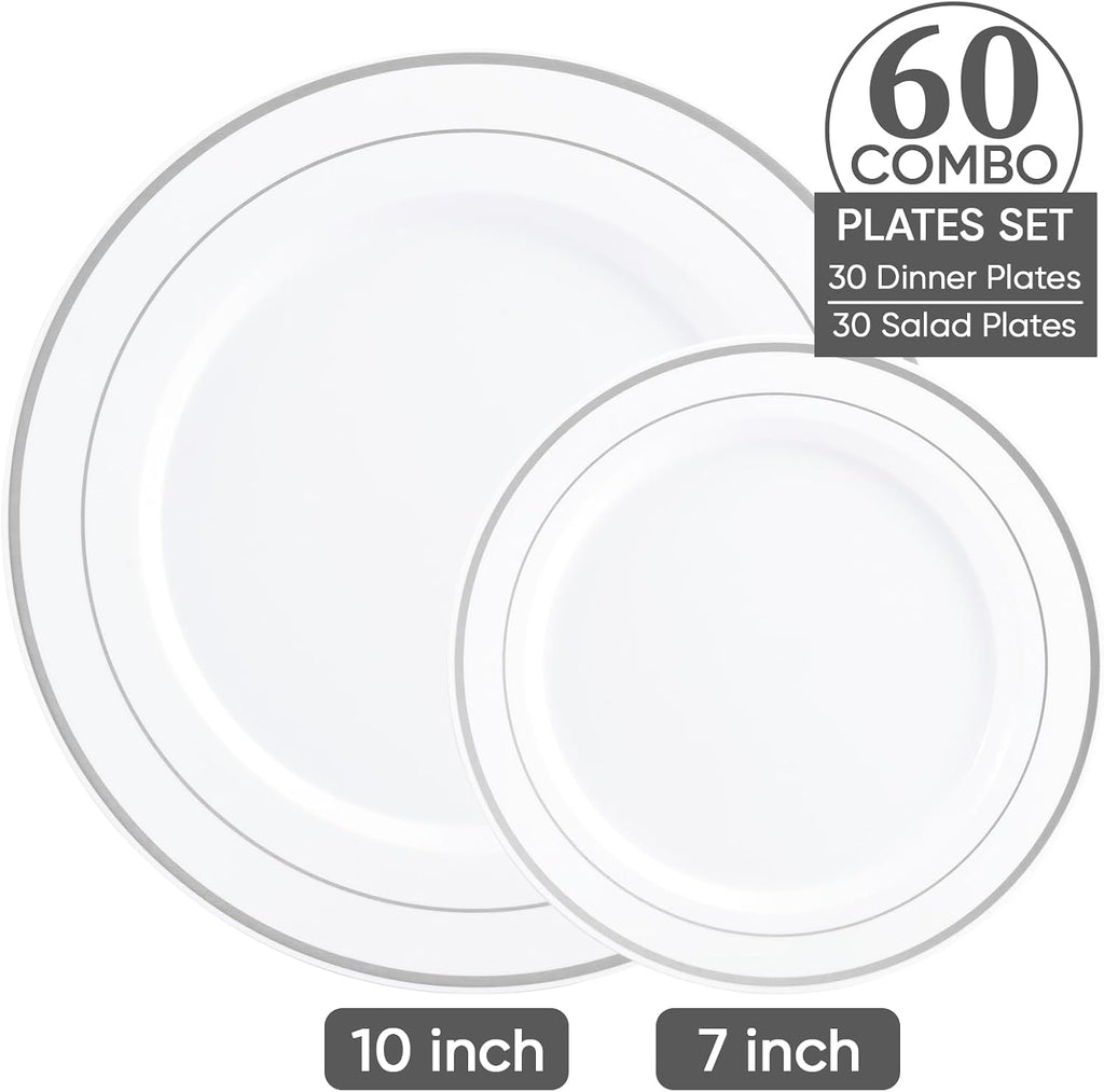 Silver Plastic Plates Set of 60,Disposable Plates with Silver Rim