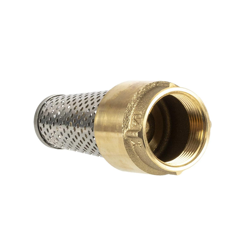 Foot Valve, 1 1/4" Female connection