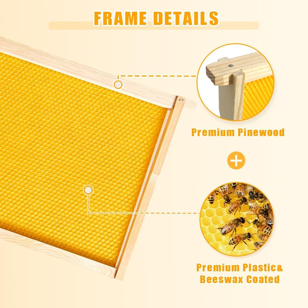 10 Pack Beehive Frames with Wax Dipped Plastic Foundations, Deep Brood Box Bee Frames 9-1/8 Inch for Beekeeping (Yellow)