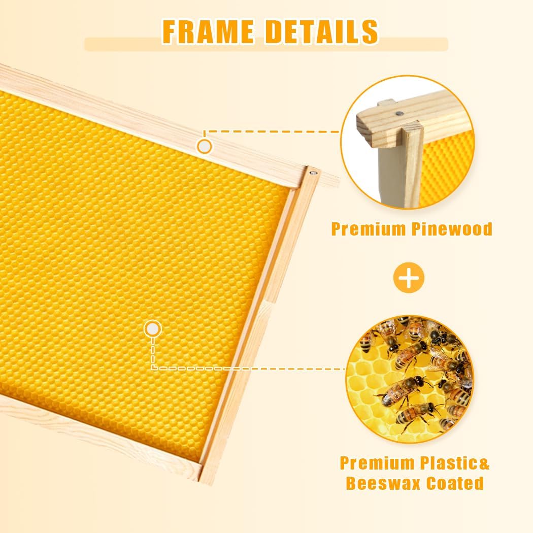 10 Pack Beehive Frames with Wax Dipped Plastic Foundations, Deep Brood Box Bee Frames 9-1/8 Inch for Beekeeping (Yellow)