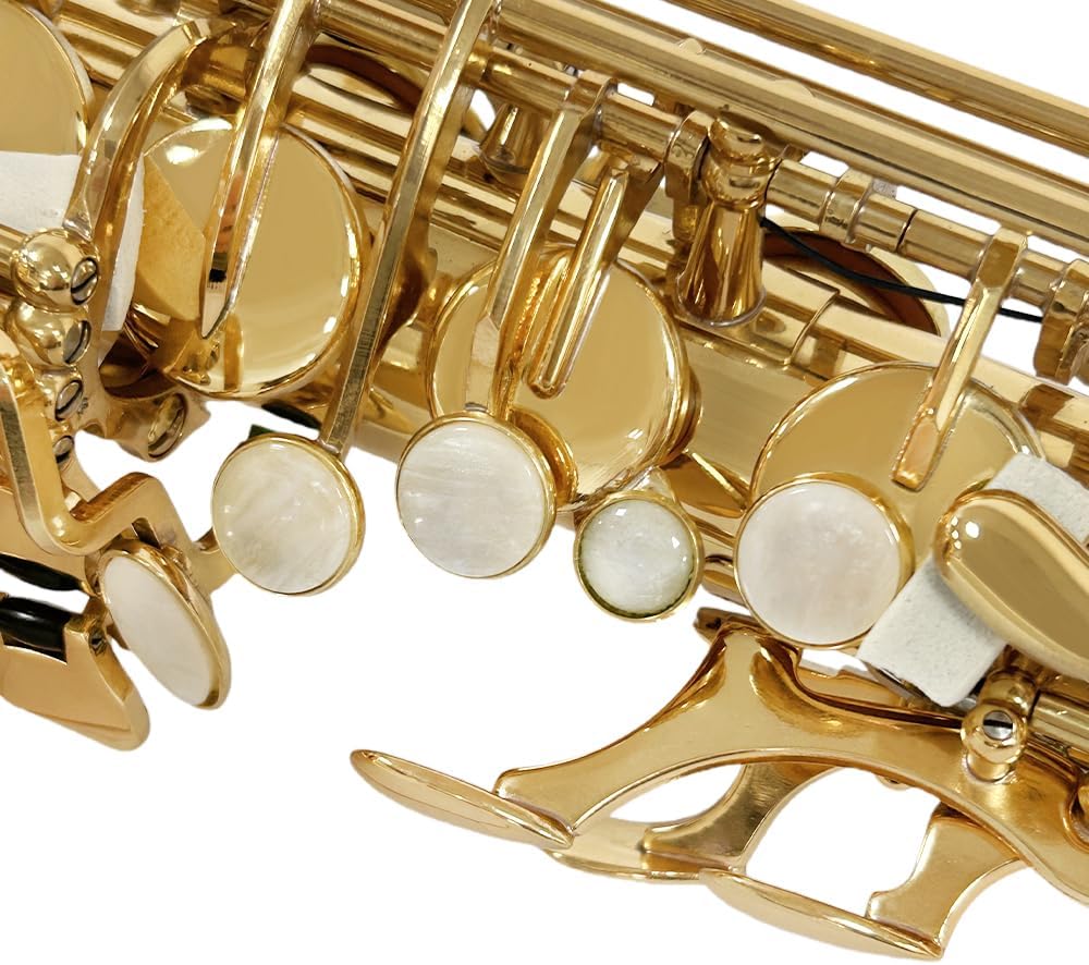 Eb Alto Saxophone For Beginners Adult,Saxophone Student,E Flat Alto Sax Full Kit With Reeds,Pads Cushions,Hard