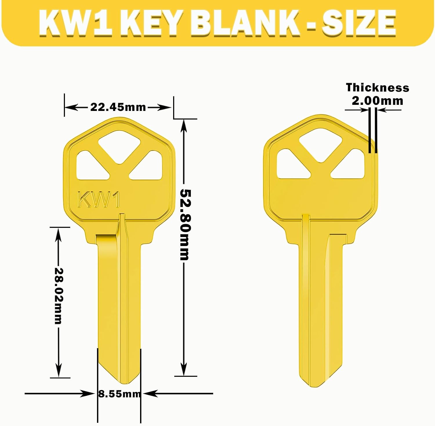 Key Blanks in Premium Quality Brass Assortment | Uncut Key Blanks 20 KW1, 20 SC1, 10 M1 for Home and Professional Use