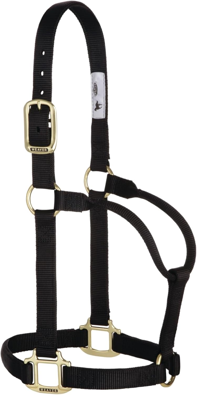 Weaver Leather Original Non-Adjustable Nylon Horse Halter, Black, Yearling