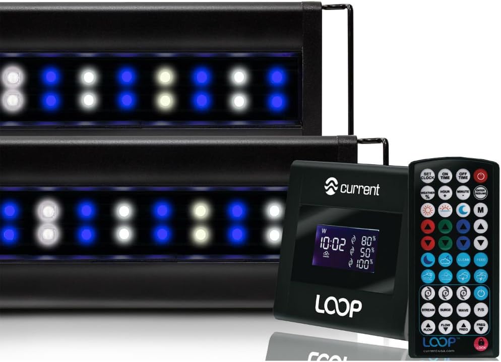 USA Dual 72" Inch Orbit Marine IC LED Saltwater Reef Marine Aquarium Light | 24 Hour IR Lighting & eFlux Wave Pump
