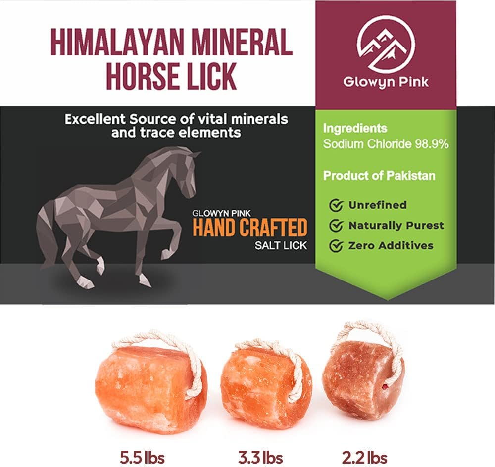 Glowyn Himalayan Salt Lick-Natural Minerals Block on Rope - 4.0 lbs. (6 Packs) - Great for Horses, Cattle, and Live