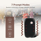 TD175S Wireless Calling System,Food Buzzer System, 10 Pagers