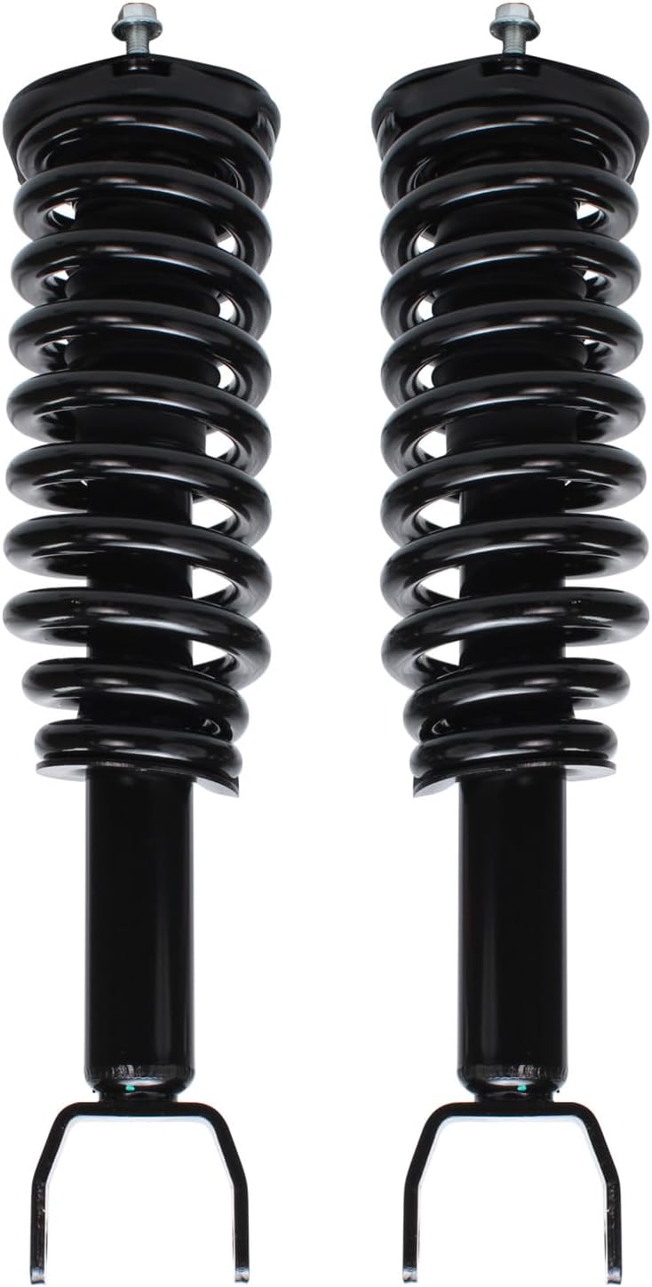 Detroit Axle - 2WD Struts Shocks for 2005-2009 Dodge Dakota