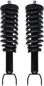 Detroit Axle - 2WD Struts Shocks for 2005-2009 Dodge Dakota