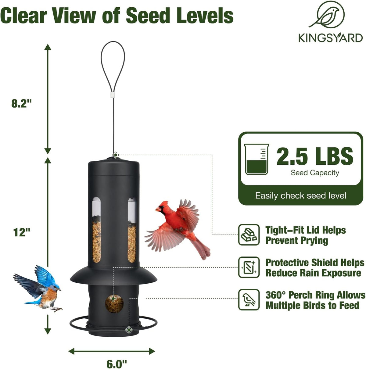 Squirrel Proof Hanging Bird Feeder for Outdoors