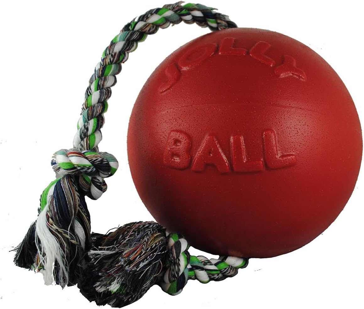 Romp-n-Roll Rope and Ball Dog Toy, 6 Inches/Medium, Blueberry, Model Number: 606 BB, All Breed Sizes