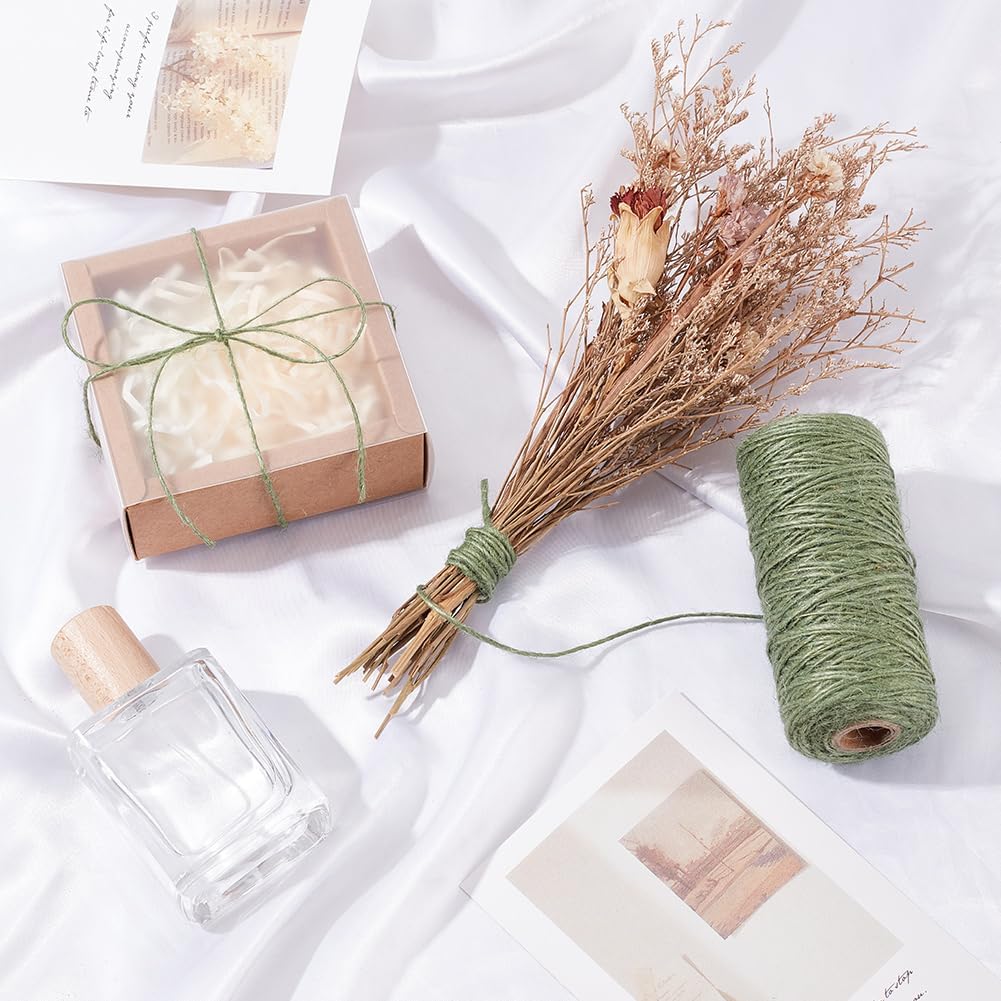 328 Feet/100M 1mm Jute Twine String Garden Rope Jute Cord 1 Ply Sea Green Craft Jewelry Beading Cord Thread for