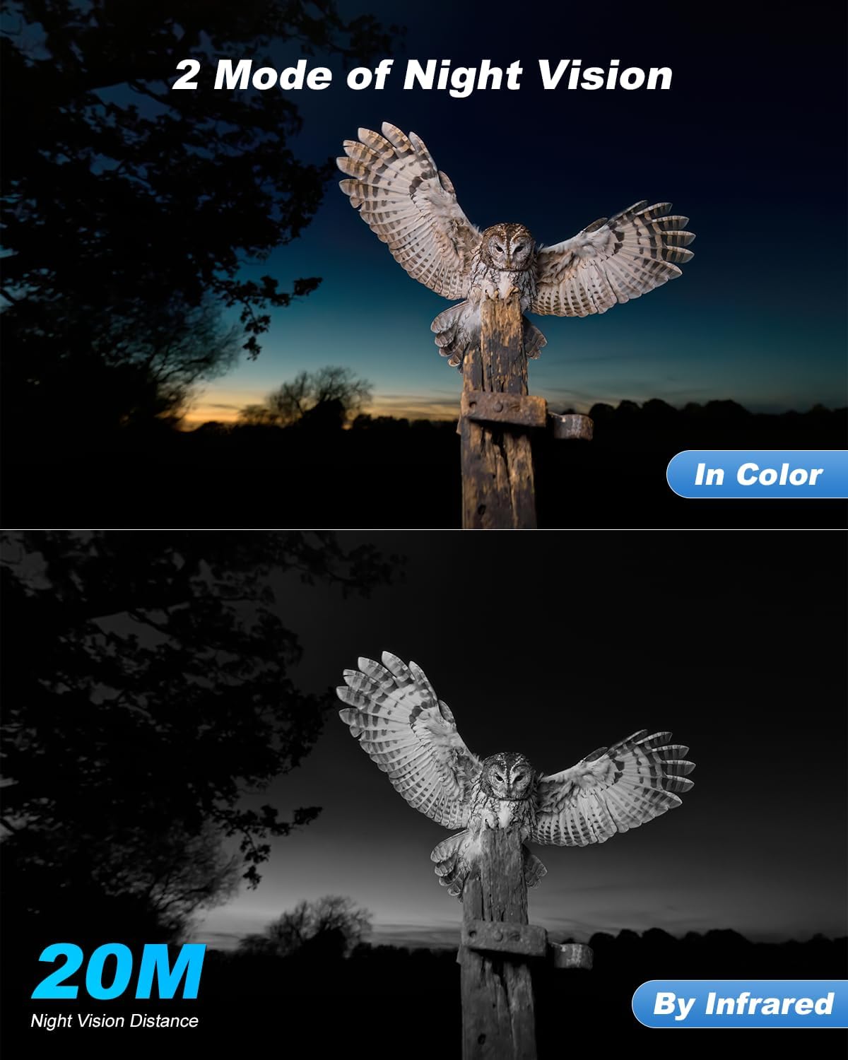 4G Solar Cellular Wildlife Trail Camera with SIM Card,No WiFi Outdoor | Live Streaming,2K HD,Night Vision,Motion