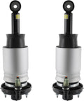 RAYTEN Rear Shock Absorber Set 7L1Z5A891B/8L1Z5A891B