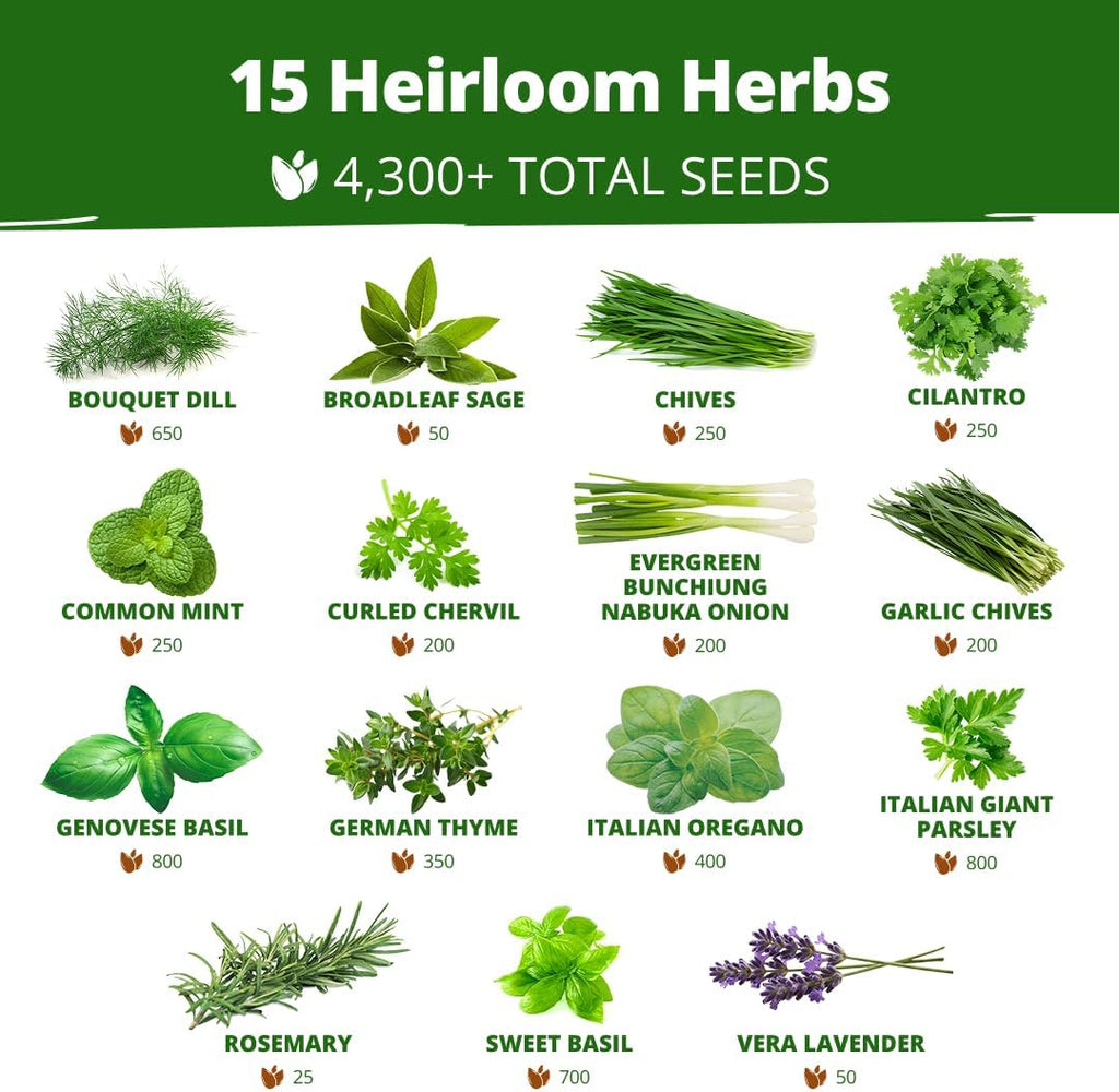 Herb Seeds for Planting 15-Pack Massive Seed Count 4,300+ Seeds Non-GMO Heirloom | Extra Large | Culinary Herb Kit