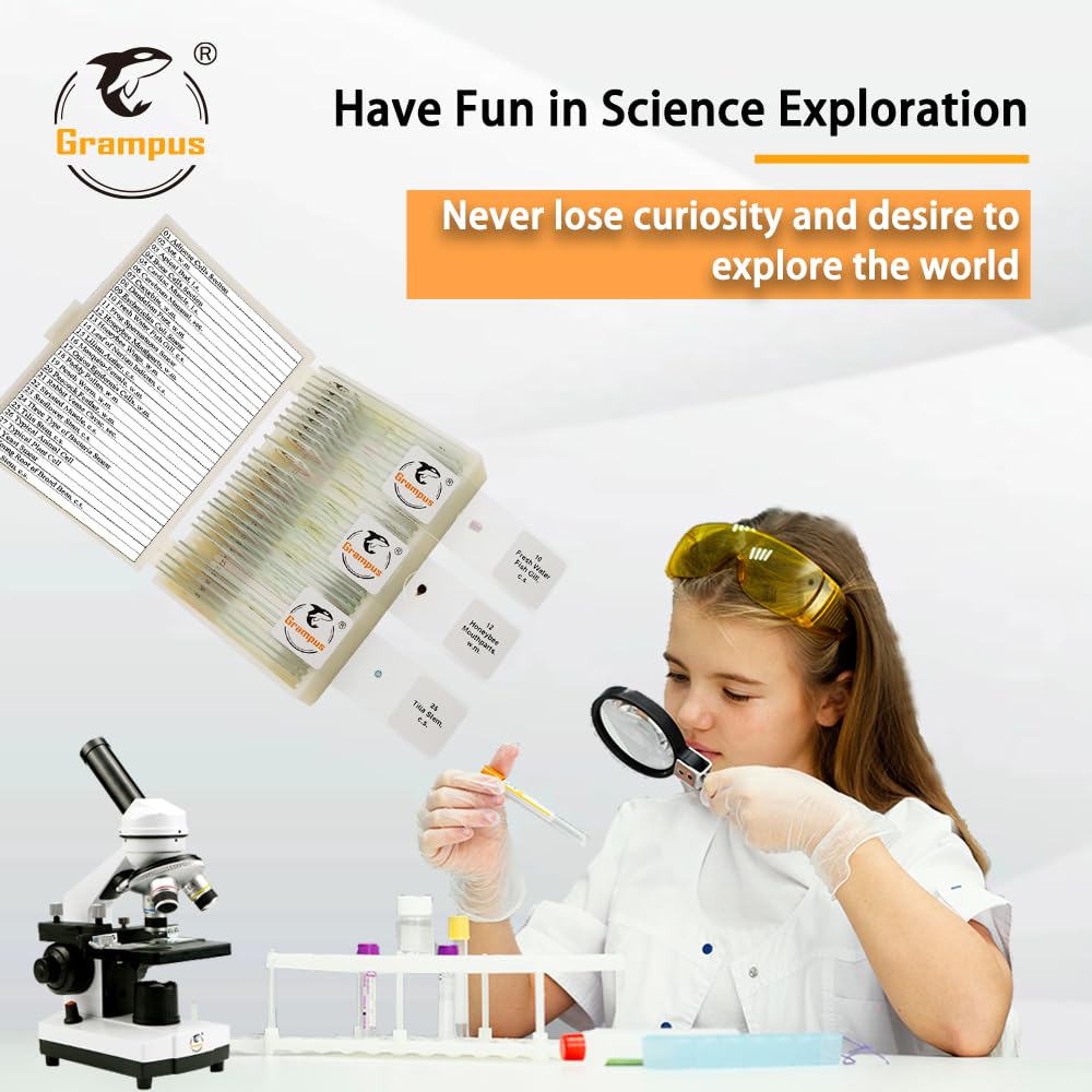 30 Prepared Microscope Slides with Specimens for Kids Students - Animals Plants Insects Microorganism, for Biological