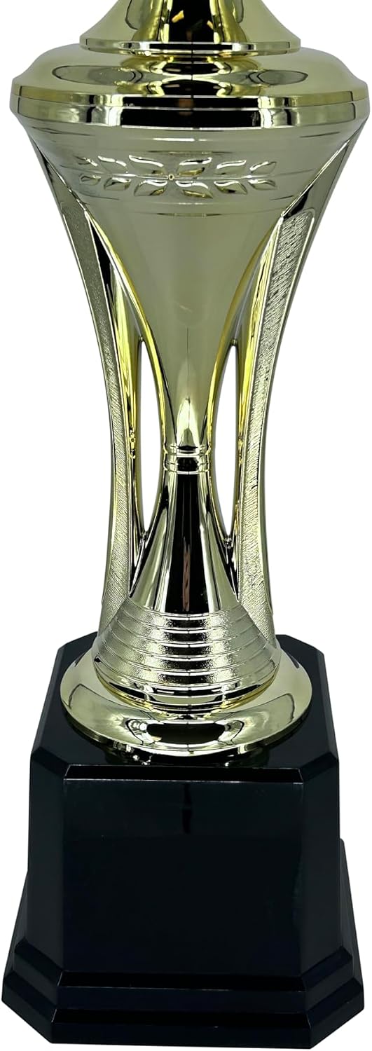 Various Styles of Award Trophy Cups Trophies Prize Gift Champion Winner 1st Place