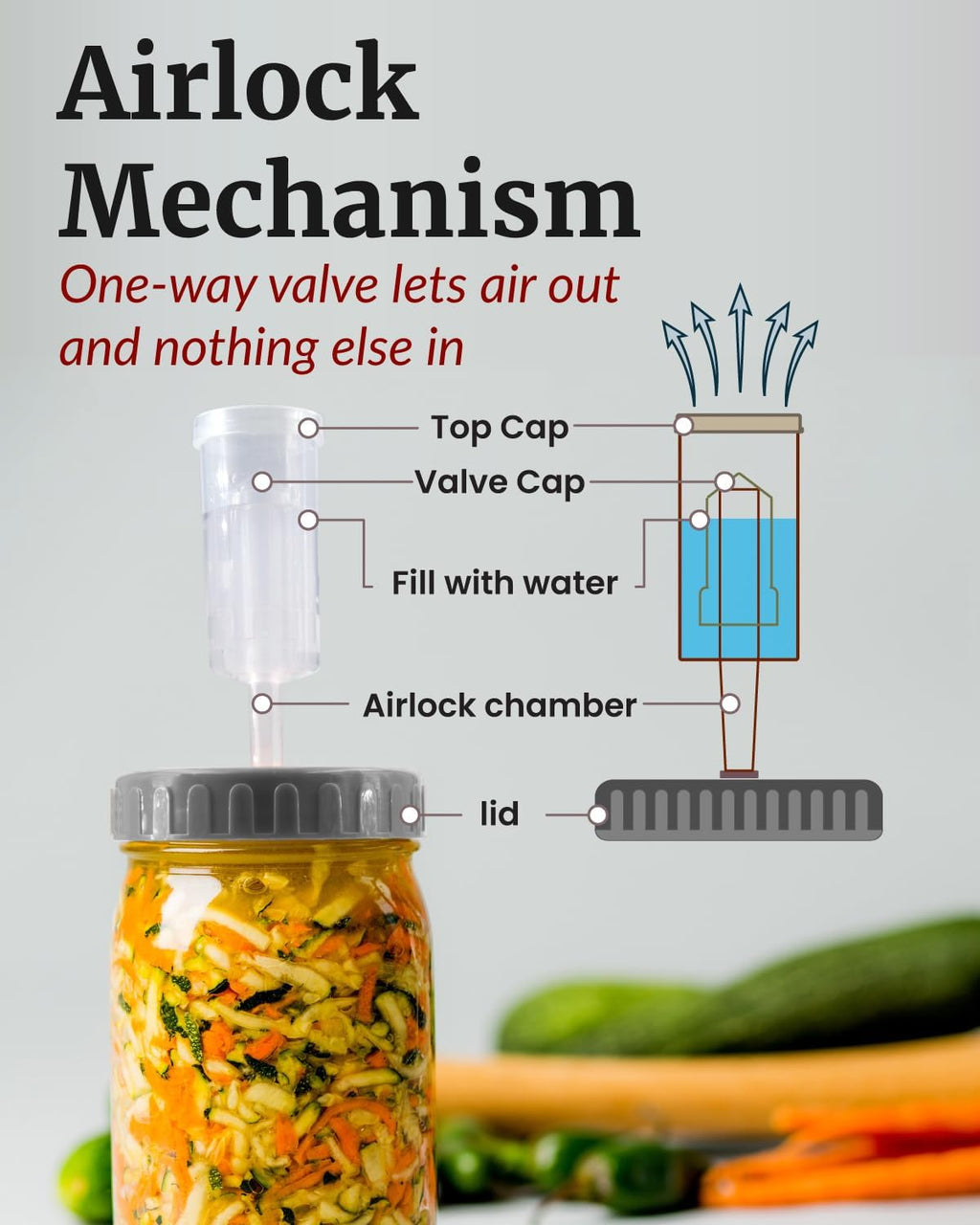 Fermentation Weights Kit - Set of 2 Glass Fermenting Weights and Mason Jar Fermentation Lids for Wide Mouth Mason