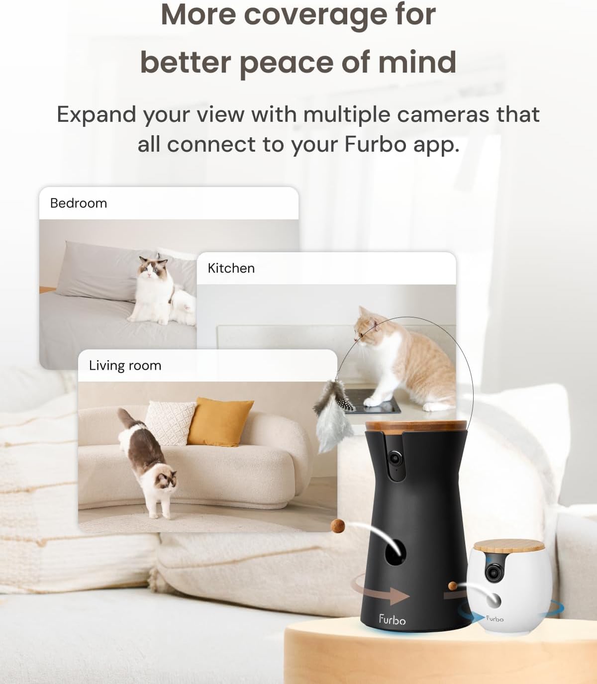 360° Cat Camera + Mini 360° Cam [New Subscription Required at Setup] 2-Camera Bundle Nanny Subscription: Cat Safety