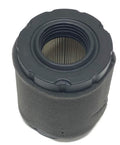 Briggs & Stratton Air Filter Plus Pre-Filter - Compatible Air Filter 796032, 591583, Pre-Filter 798911
