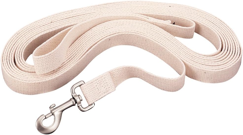 Weaver Leather Flat Cotton Lunge Line with Snap