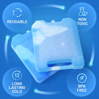 Large Reusable Ice Packs for Cooler with Handle, Heavy Duty Freezer 2 Pack