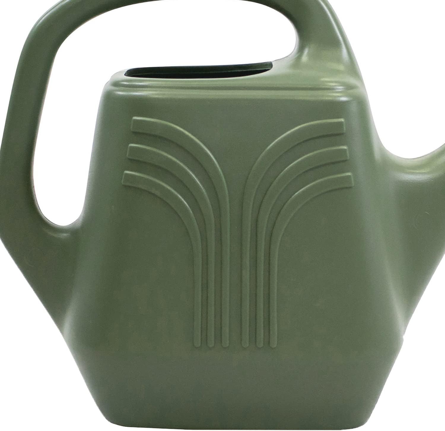 Promo Watering Can: 2 Gallon Capacity - Living Green - Durable Resin, Removable Nozzle Spout, Two Handles, Wide Mouth
