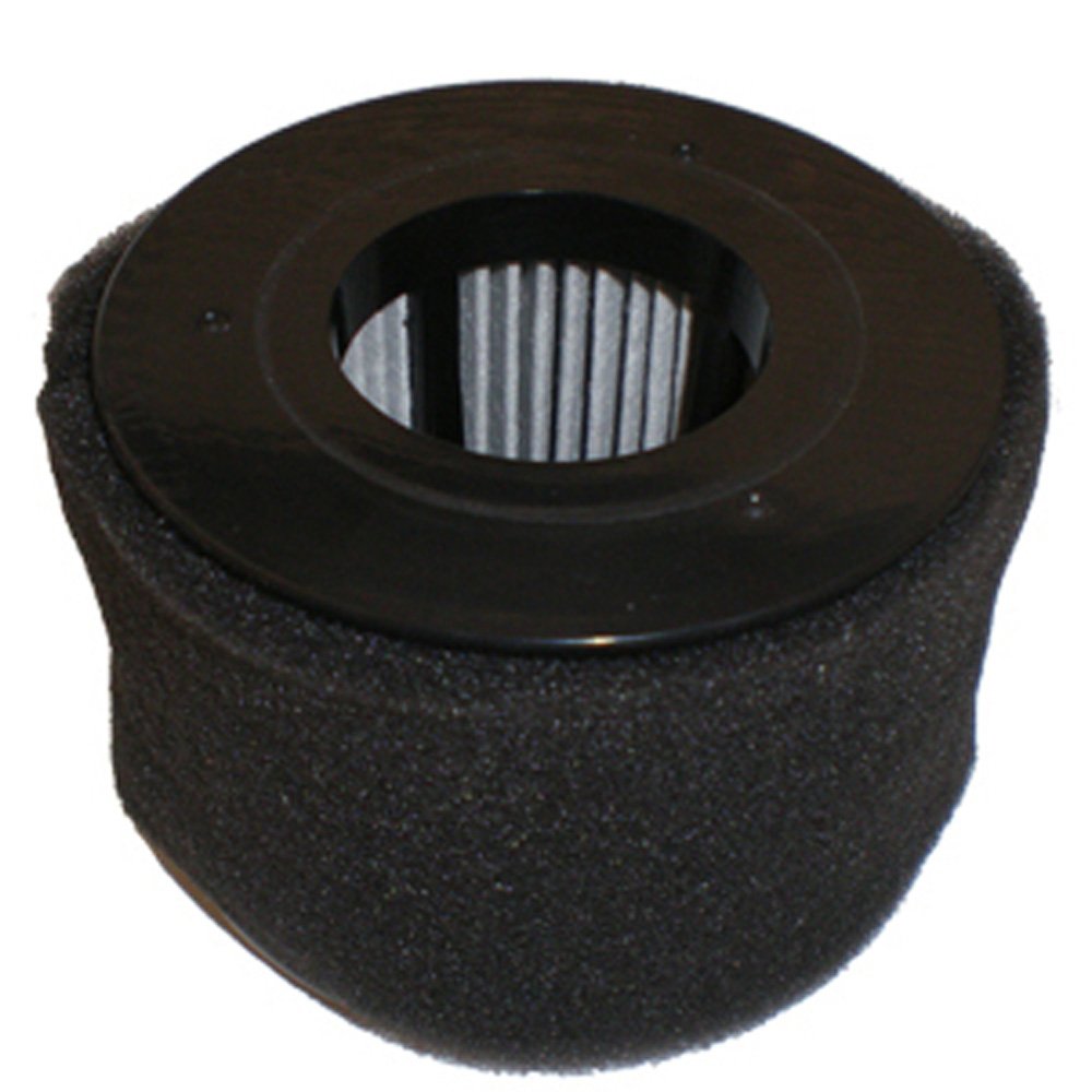 BISSELL Poweredge 81L2 Series Filter Pack, New OEM Part, 54A2, Black