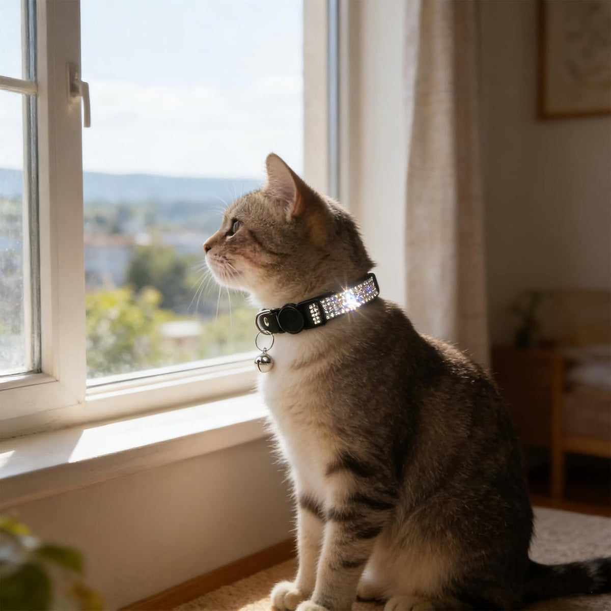 Rhinestone Cat Collar Breakaway (Black)