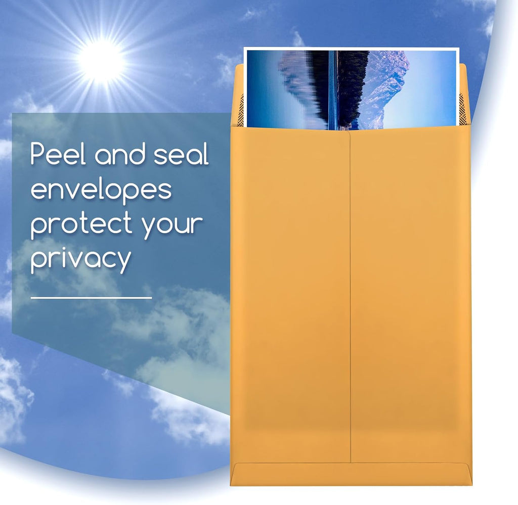 6x9 Envelopes, 250 Pack Security Catalog Envelopes Self Seal, Small Brown Envelopes for Mailing, Organize, Storage