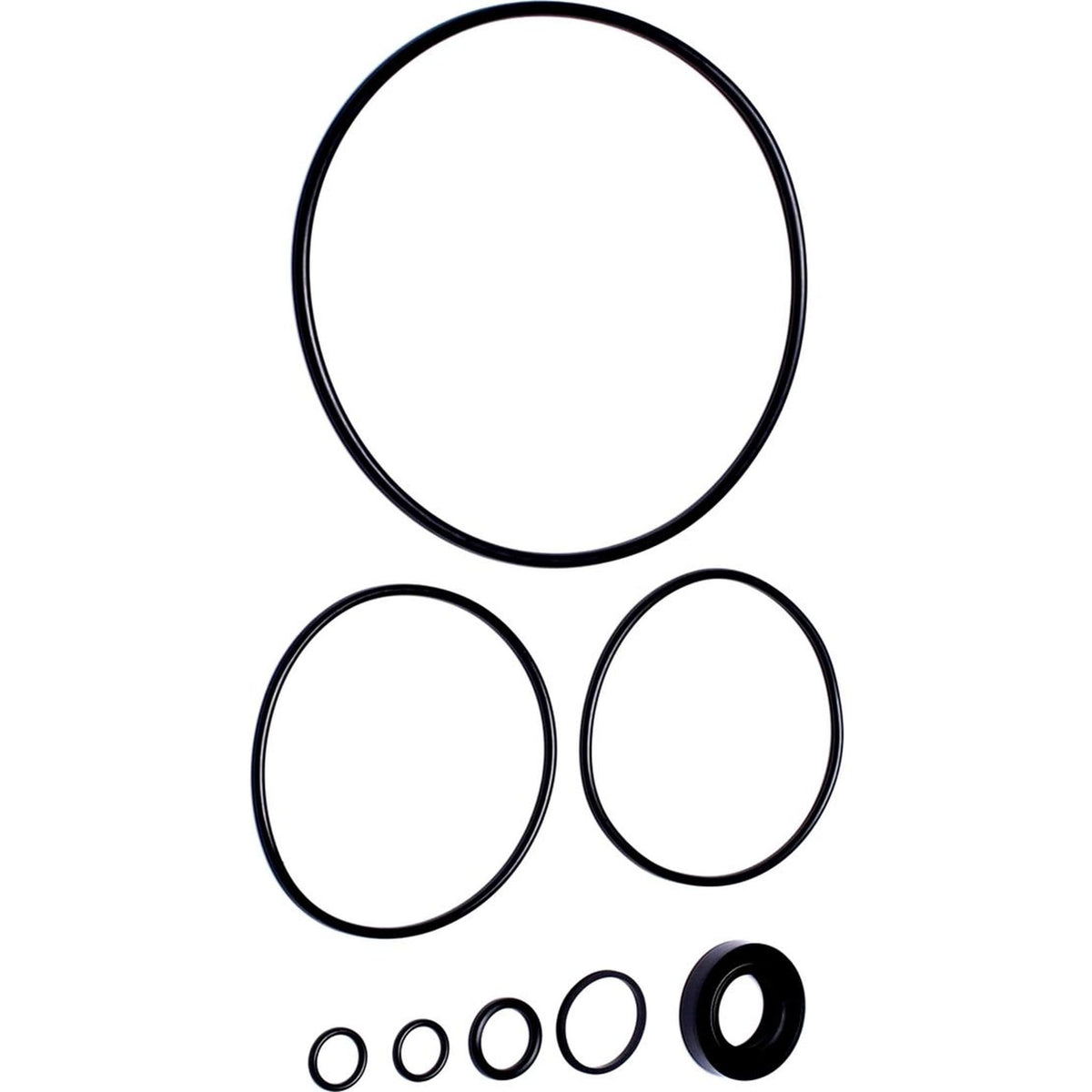 Power Steering Pump Seal Kit for Buick Wildcat 7.0L 1964-1969