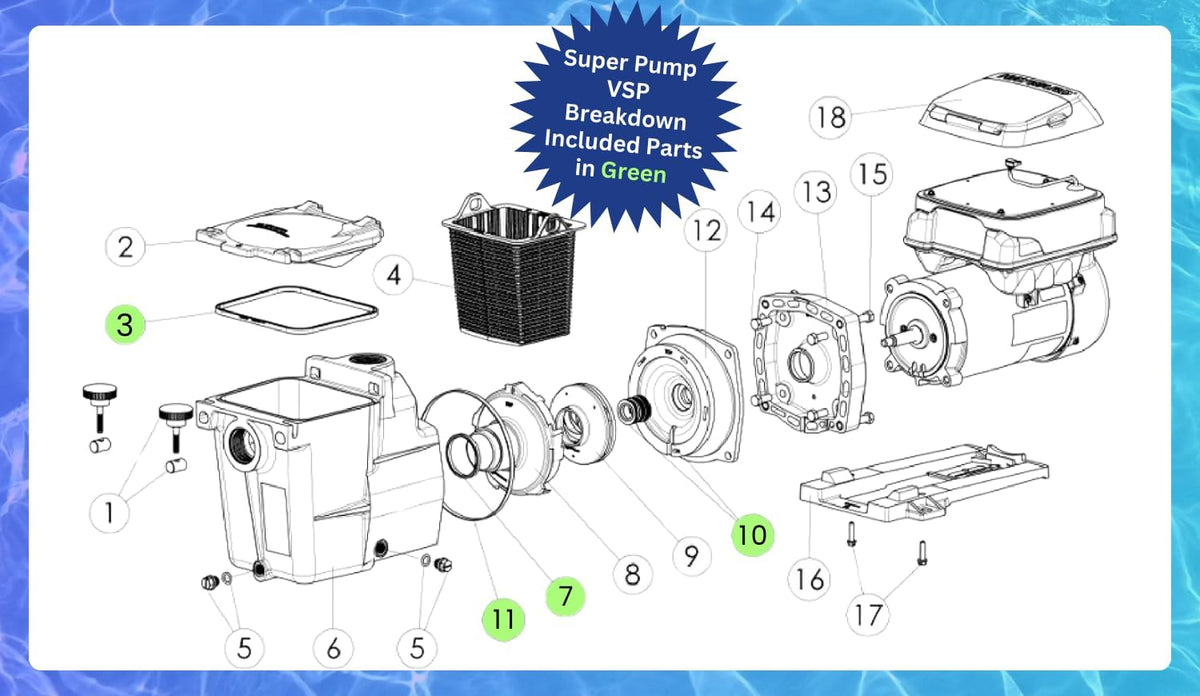 KitKing - SPX1600TRA Super Pump Seal Replacement for Hayward Go Kit 3. Fits SP1600, SP2600 in Regular, X, VSP Models. SPX1600TRA SP1600Z2 PS-201 SPX1600R SPX1600S SPX1600T Pool