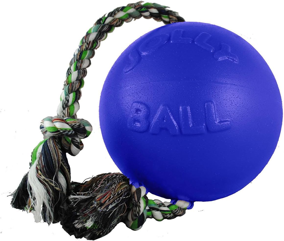 Romp-n-Roll Rope and Ball Dog Toy, 6 Inches/Medium, Blueberry, Model Number: 606 BB, All Breed Sizes