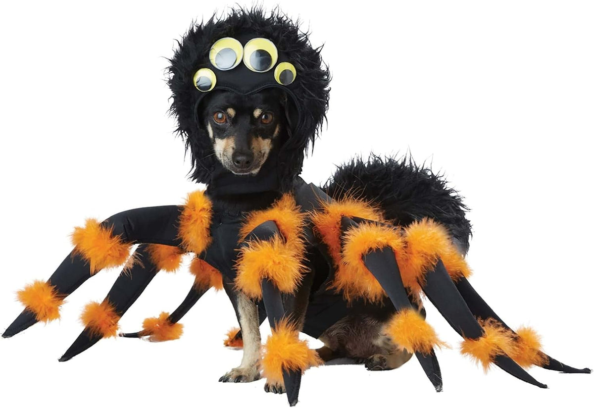 Spider Pup, Dog Costume Small